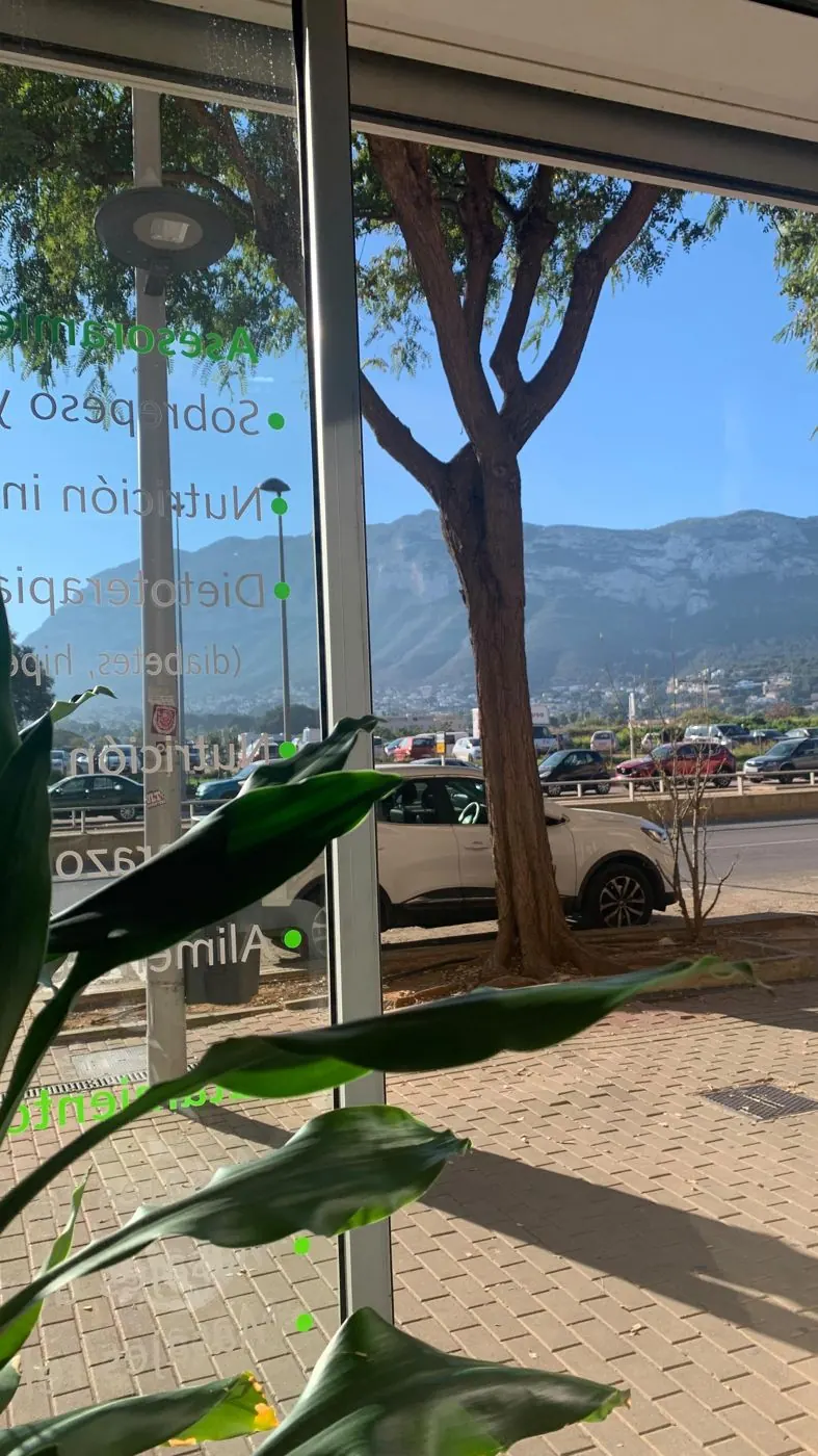 Escaparate de Natural Nutrición con el Montgó al fondo, en la Av. de Joan Fuster de Dénia