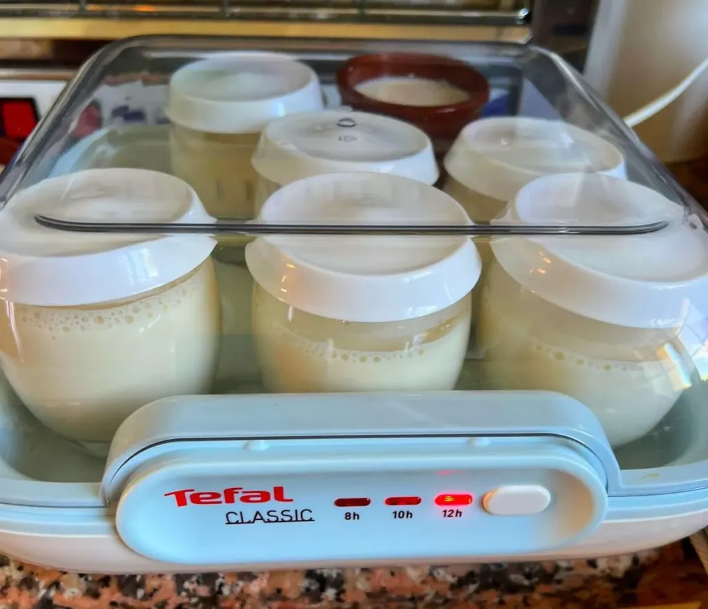 Yogur casero fácil y saludable