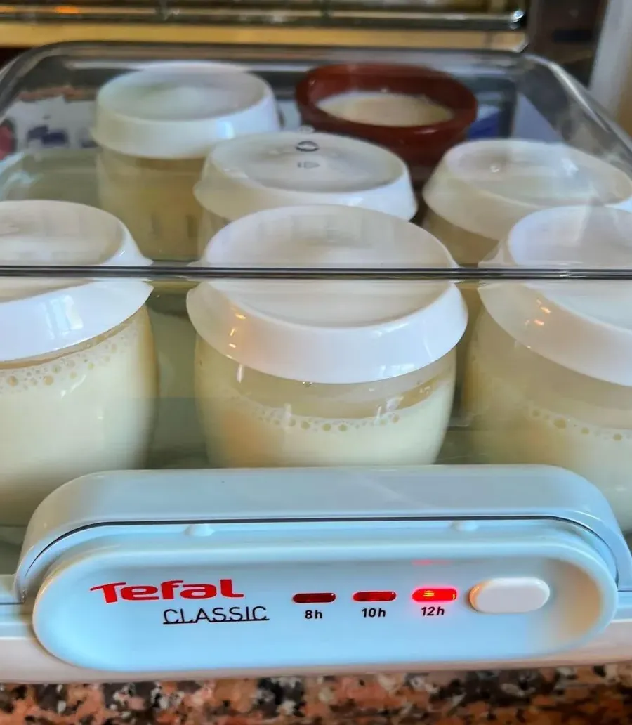 Yogur casero fácil y saludable
